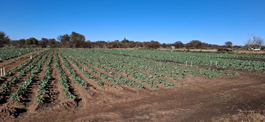 Commercial Property for Sale in Bloemfontein Rural Free State